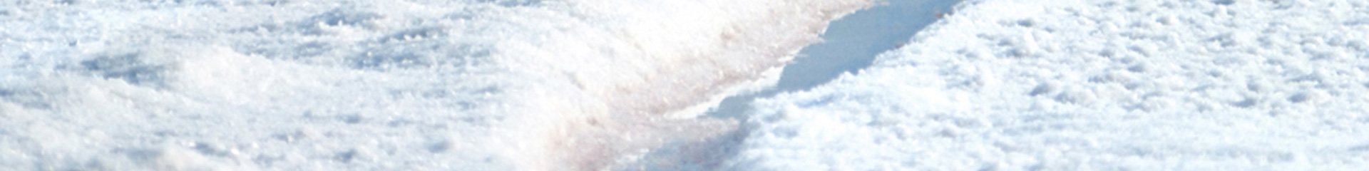 Tarihce Tuz Binbir Gida